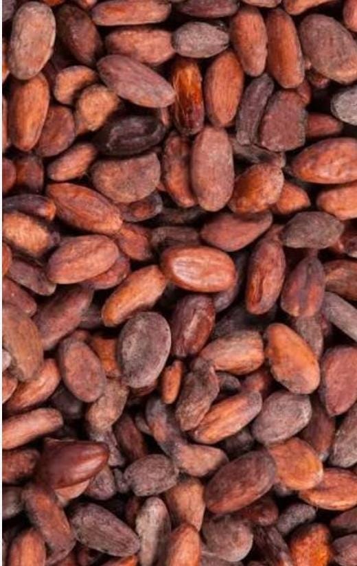 Premium Cacao Beans