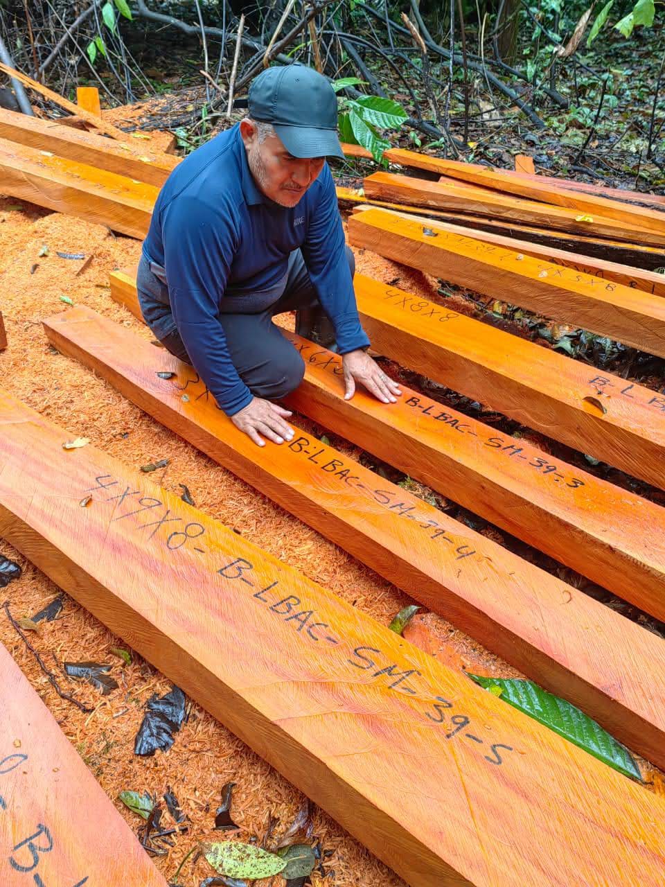 Oak Wood Planks