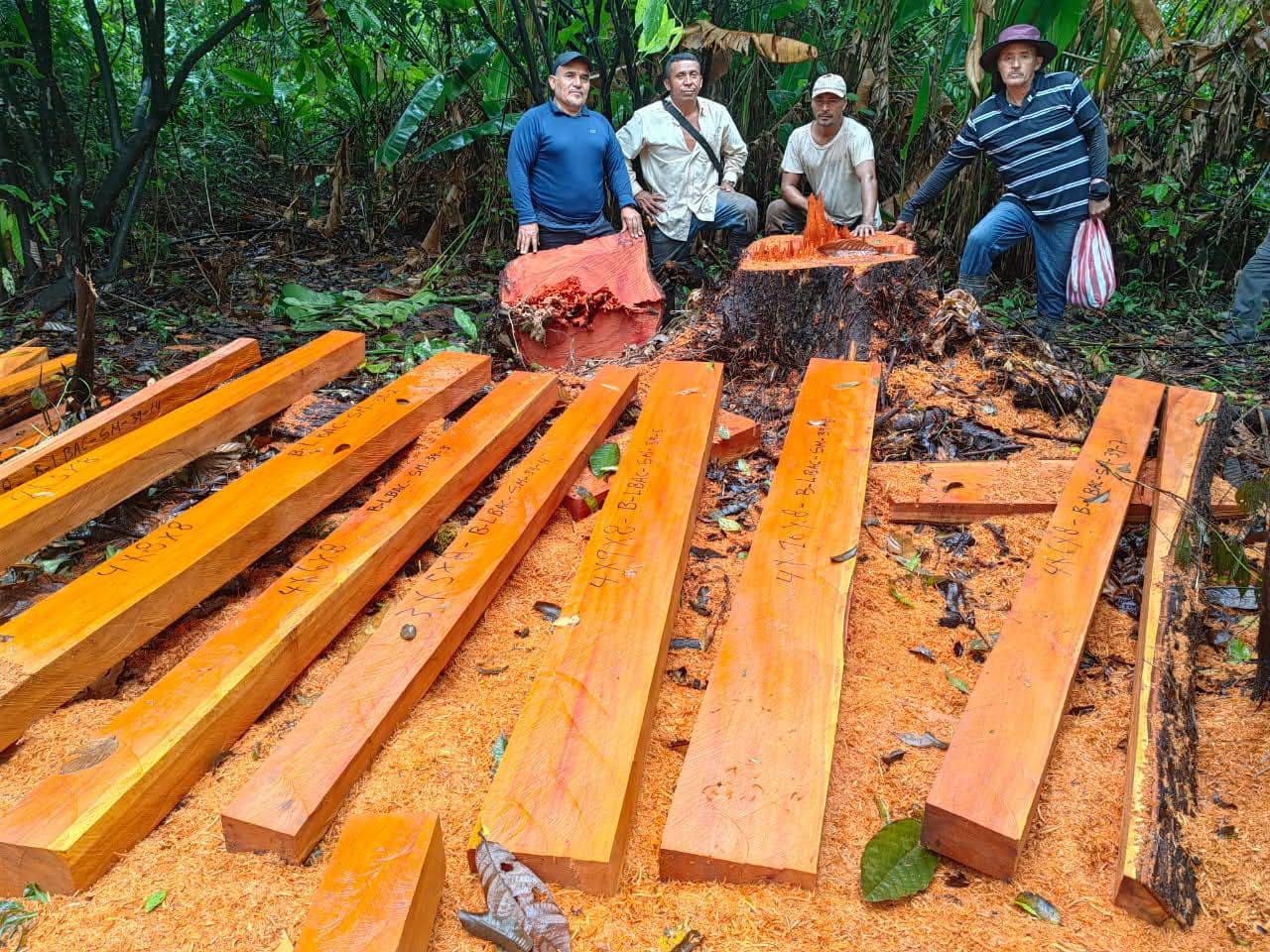 Bamboo Composite Sheets